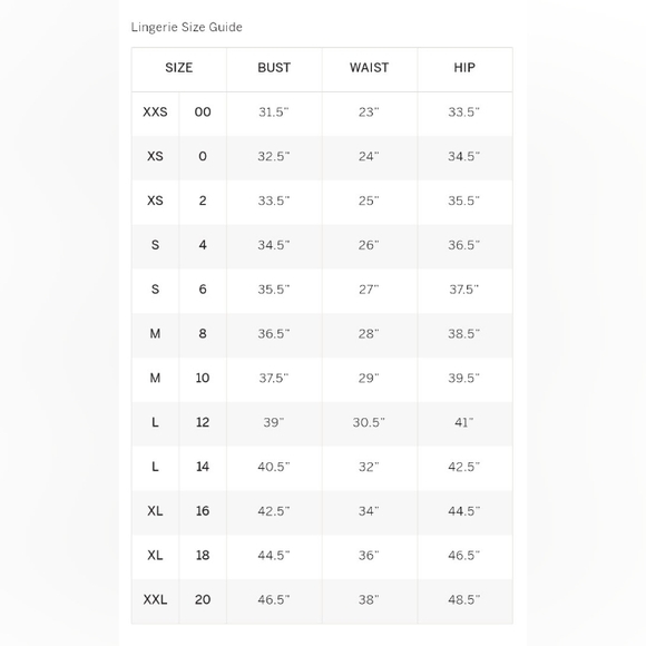 VS Lipstick Red Silver Rhinestone Shine Sheer Lace Skirt With Garters M/L NEW - Picture 10 of 10